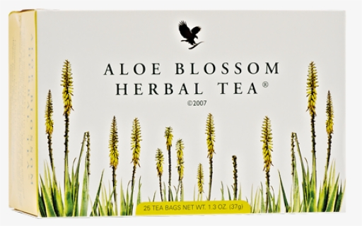 Tea Png, Transparent Png, Free Download