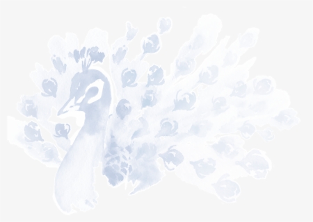 Breakfast Png, Transparent Png, Free Download