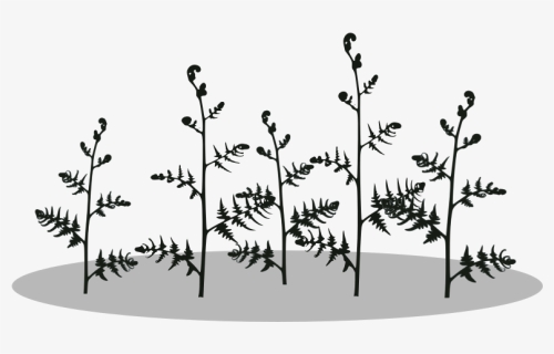Fern-silhouette, HD Png Download, Free Download