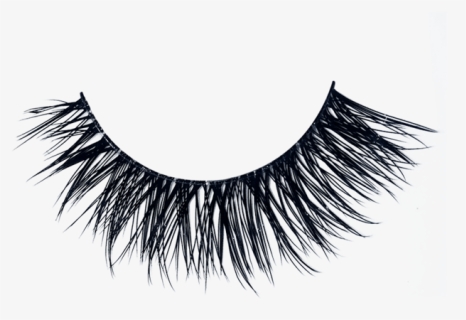 Eyelash Png, Transparent Png, Free Download