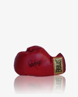 Transparent Boxing Gloves Hanging Png, Png Download, Free Download