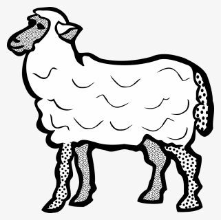 Sheep Png, Transparent Png, Free Download