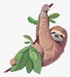 Toed Sloth Png Free Image Download, Transparent Png, Free Download