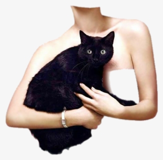 Image, HD Png Download, Free Download