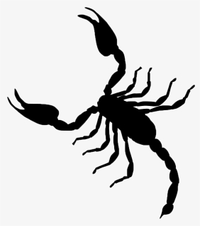 Scorpion Vector Graphics Clip Art Illustration Image, HD Png Download, Free Download
