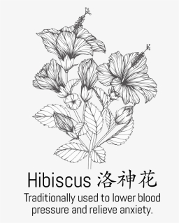 Liangcha Ingredientbox-hibiscus, HD Png Download, Free Download