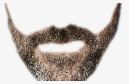 Realistic Mustache Transparent Background, HD Png Download, Free Download