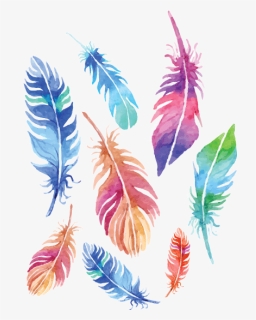 Transparent Feathers Coloured, HD Png Download, Free Download