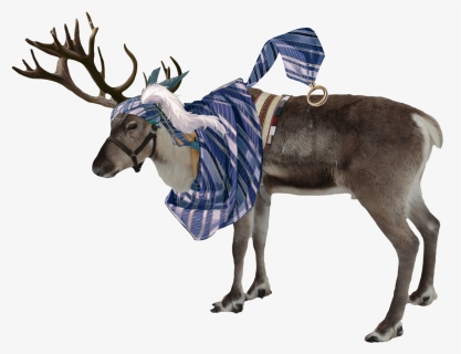 Transparent Reindeer Antlers Png Tumblr, Png Download, Free Download