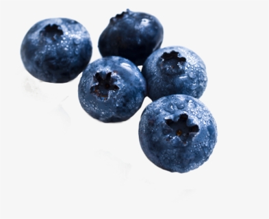 Blueberry Png Image, Transparent Png, Free Download