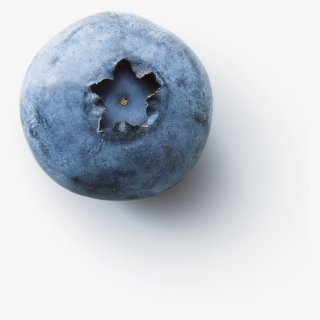 Fruitinfusion Forestfruit Ingredient3 Blueberry, HD Png Download, Free Download