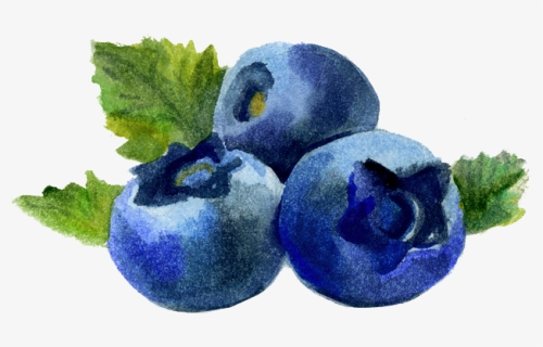 Blueberry Png Images Download, Transparent Png, Free Download