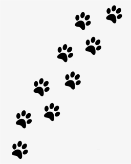 Paw , Png Download, Transparent Png, Free Download