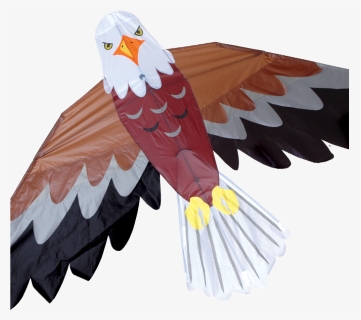 Transparent Mexico Eagle Png, Png Download, Free Download