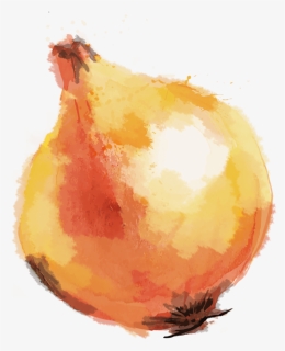 Onion, HD Png Download, Free Download