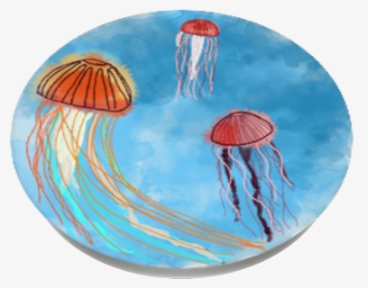 Jellyfish, Popsockets Jellyfish, HD Png Download, Free Download