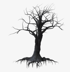 Creepy Tree Transparent Background, HD Png Download, Free Download