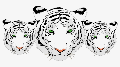 Transparent Tiger Png - Transparent White Tiger Logo, Png Download, Free Download