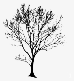 Tree Silhouette Black Free Picture - Tree Silhouette Architecture Png, Transparent Png, Free Download