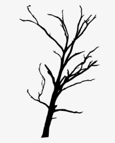 Forrest Drawing Dead Tree Forest Transparent Png Clipart - Dead Tree Transparent Background, Png Download, Free Download