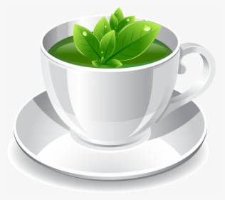 Herbal - Png File Green Tea Png, Transparent Png, Free Download