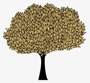 Transparent Ficus Tree Png - Illustration, Png Download, Free Download