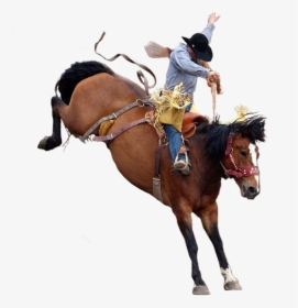 Transparent Bucking Horse Clipart - Rodeo Png, Png Download, Free Download