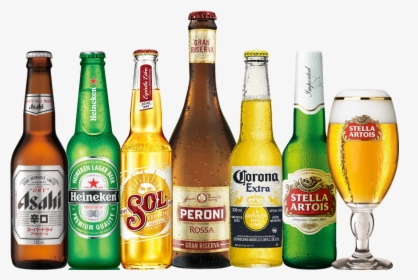 Product Catagories Image - 6 Pack Of Beer Transparent Background, HD Png Download, Free Download