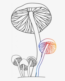 Transparent Magic Mushroom Clipart - Line Art, HD Png Download, Free Download