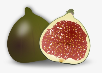Fig Clipart, HD Png Download, Free Download