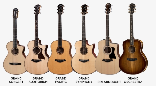 Taylor Guitar Body Shapes - Taylor, HD Png Download, Free Download