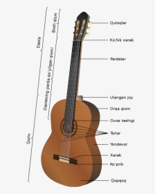 Classical Guitar Structure, HD Png Download, Free Download