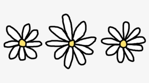 Daisy Png, Transparent Png, Free Download