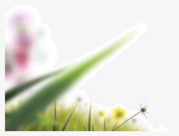 Clip Art Blurry Flowers - Blur Grass Png Hd, Transparent Png, Free Download