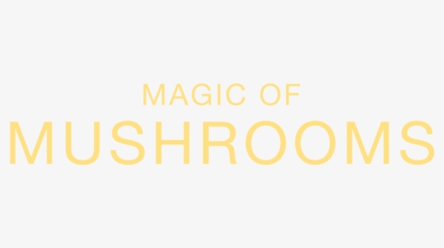 The Magic Of Mushrooms - Orange, HD Png Download, Free Download