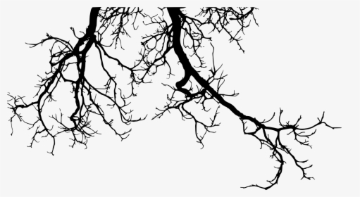 Tree Branch Silhouette Png, Transparent Png, Free Download