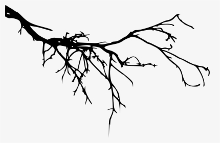 Branch Tree Portable Network Graphics Silhouette Image - Branch Silhouette Png, Transparent Png, Free Download