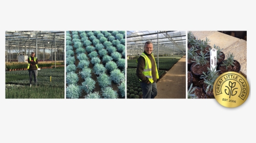 Great Little Garden Supplier Story - Plantation, HD Png Download, Free Download