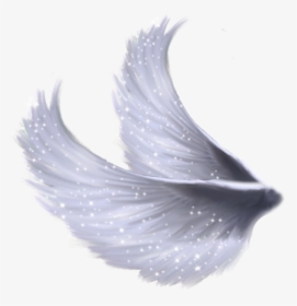 Angel Wings Side Png, Transparent Png, Free Download