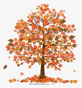 Fall Tree Clipart Of With Vibrantly Colored Orange - Fall Trees Clip Art, HD Png Download, Free Download