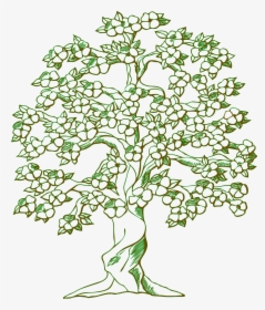 Tree With Flowers Drawing, HD Png Download, Free Download