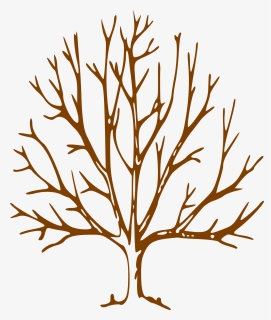 Simple Bare Tree Clipart Image Info - Tree Drawing With Branches, HD Png  Download - kindpng