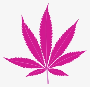 Here’s What Research Says About Breast Cancer And Cannabis, HD Png Download, Free Download