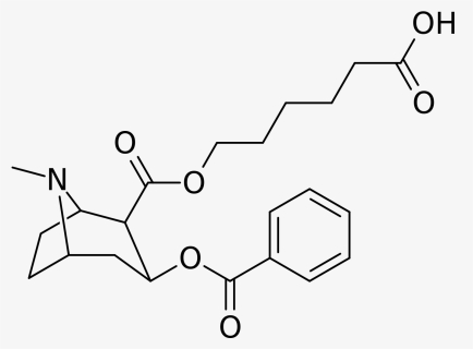 Cocaine Analog Gnc, HD Png Download, Free Download