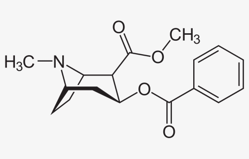 Crack Vs Cocaine Molecule , Png Download, Transparent Png, Free Download