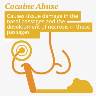 Cocaine And Nose Issues, HD Png Download, Free Download