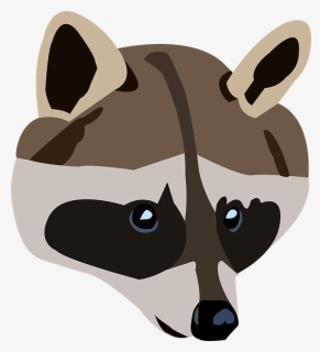 Raccoon Png, Transparent Png, Free Download