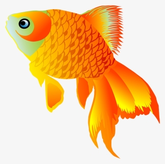 Goldfish , Png Download, Transparent Png, Free Download