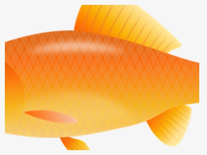Transparent Goldfish Clipart, HD Png Download, Free Download