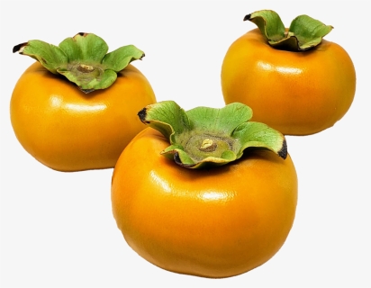 Persimmon Png Hd Photo, Transparent Png, Free Download